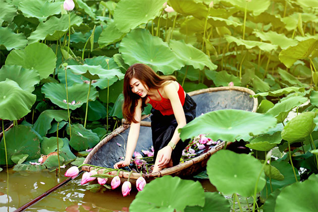 Lotus Flower in West Lake, Hanoi Tour, Cozy Vietnam