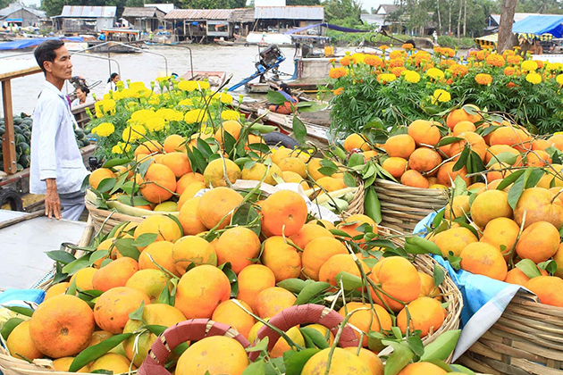 Floating Markets in Mekong Delta, Cozy Vietnam Travel