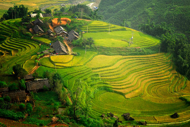 Ta Van Rice Terraces in Sapa, Tour, Sapa, Cozy Vietnam Travel