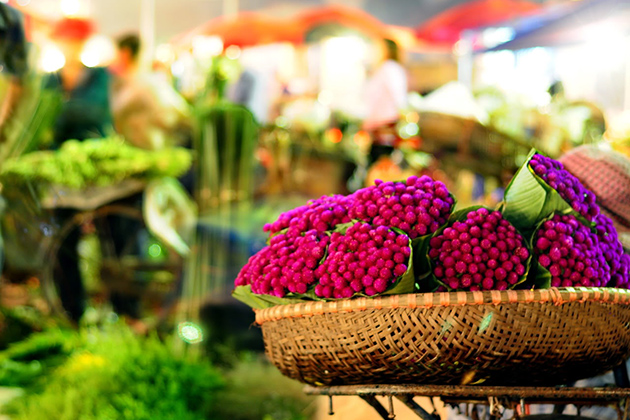 Quang Ba Night Flower Market, Hanoi, Tour, Cozy Vietnam Travel