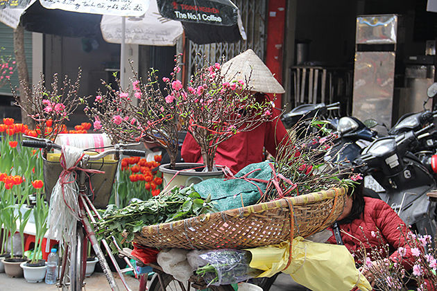 Quang Ba Flower Market, Hanoi, Vietnam, Cozy Vietnam Travel