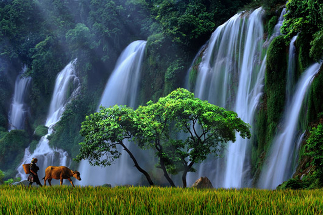 Ban Gioc Waterfall, Cao Bang Tour, Cozy Vietnam Travel
