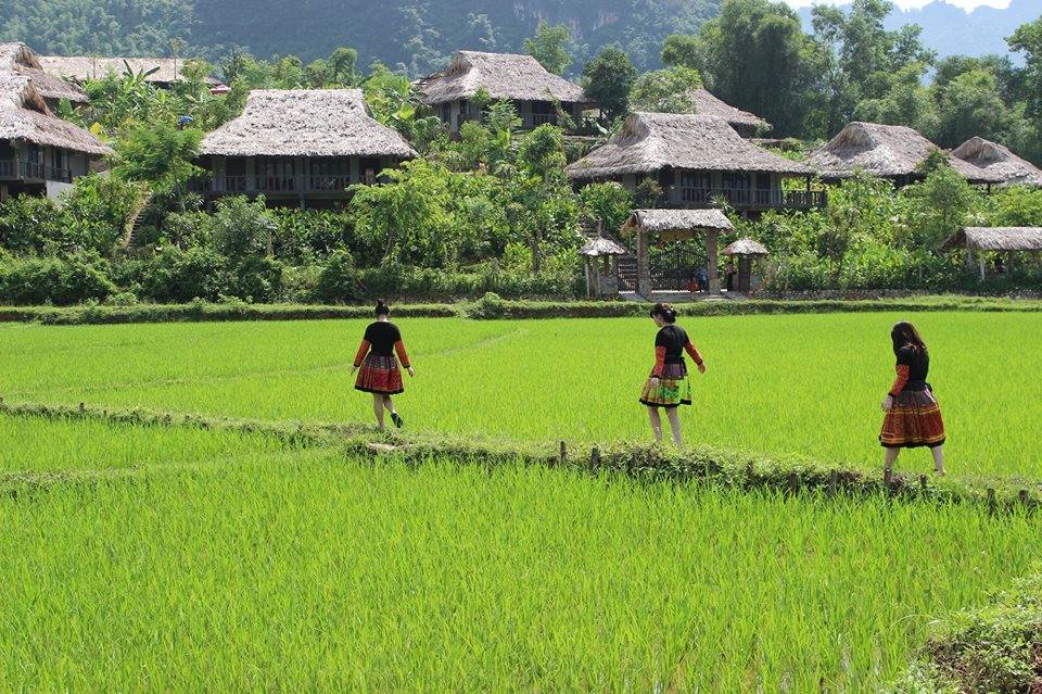 Hoa Binh Reservoir & Hill Tribe Villages Tour – 1 Day