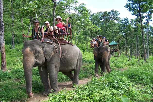 Elephant Treckking in Dak Lak, Buon Ma Thuat, Tours, Dak Lak, Cozy Vietnam Travel