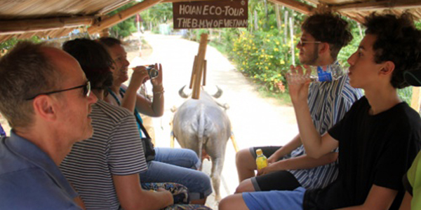 Enjoy buffalo cart ride in Hoi An, Hoi an Travel, Cozy Vietnam Travel, Vietnam Tours