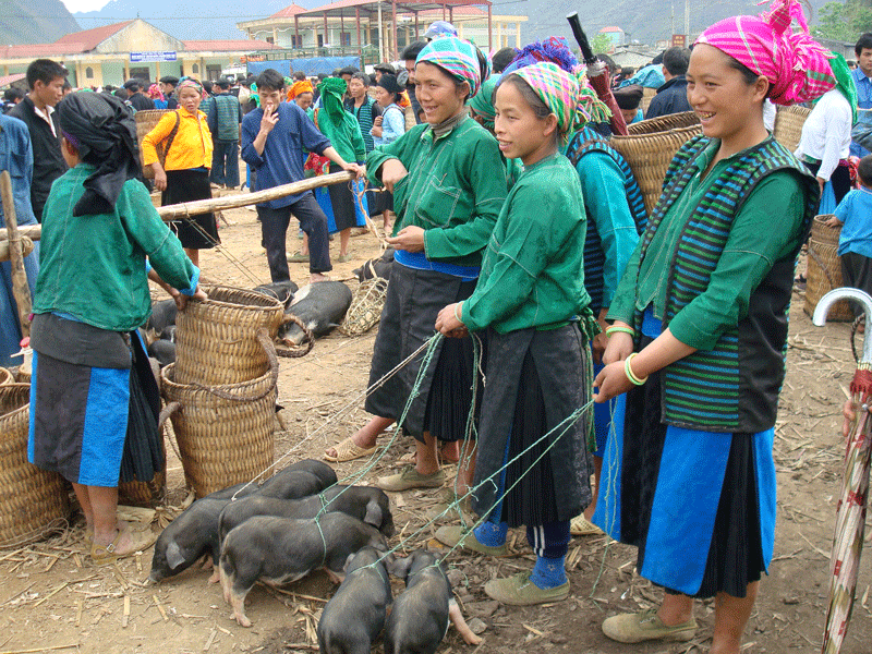 Visit Remote Hilltribe Villages in North Vietnam 5 Days