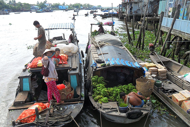 Bamboo Boat in Mekong Delta, Tour, Cozy Vietnam Travel