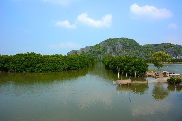 Phu Long Fishing Port in Hai Phong, Cat Ba, Cozy Vietnam Travel