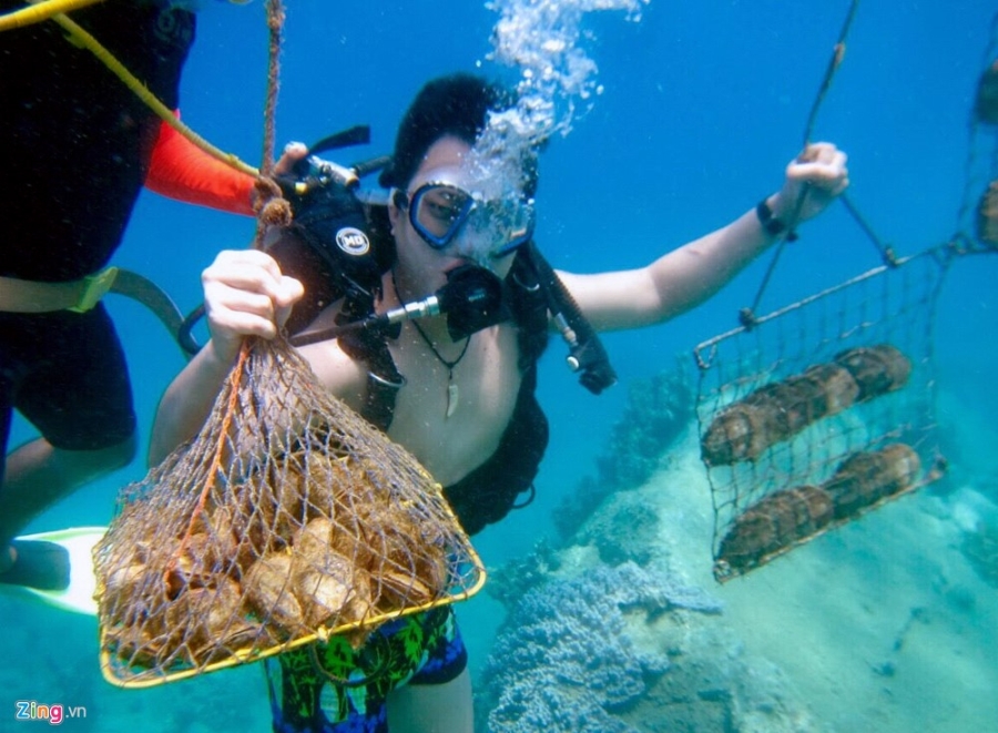 Nha Trang Marine & Beach Activities Tour – 1 Day