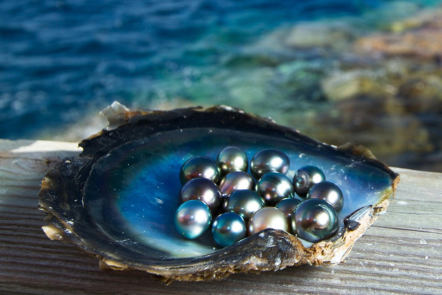 Pearls in Phu Quoc, Vietnam, Pearls, Cozy Vietnam Travel