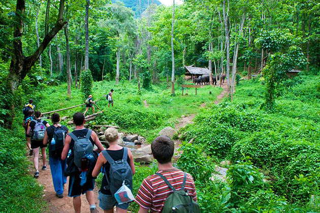 Tropical Forest in Cuc-Phuong Ninh Binh, Cozy Vietnam Travel