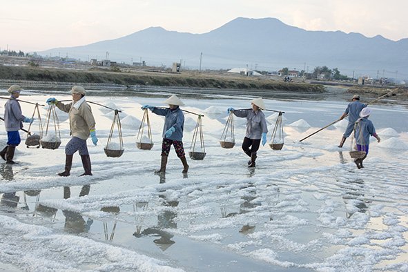 Hon Khoi Salt Fields, Cozy Vietnam Travel