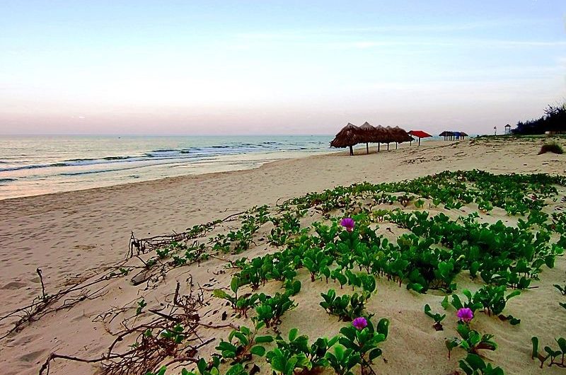 Nhat Le Beach, Cozy Vietnam Travel