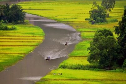 Deluxe & Small Group – Hoa Lu Tam Coc Full Day Trip- Limousine Bus