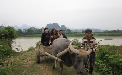 Hoi An BMW Buffalo Cart Tour – Half Day