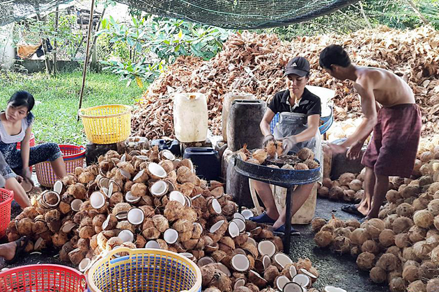 Coconut Workshop in Mekong Delta, Mekong Delta Tours, Cozy Vietnam Travel