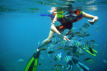 Vietnam in Classic – 15 Days