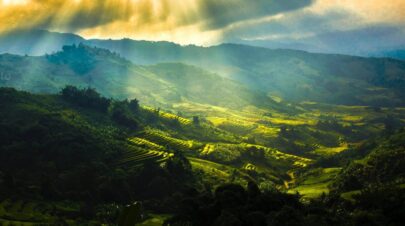 Sapa 2 Days 1 Night Trekking Tour from Hanoi By Train