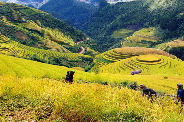 Muong Hoa Valley in Sapa, Sapa Tours, Cozy Vietnam Travel