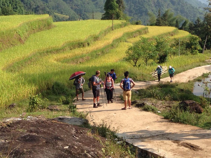 Walking,Trekking Tour in Pu Luong Vietnam,Cozy Travel,Vietnam Travel