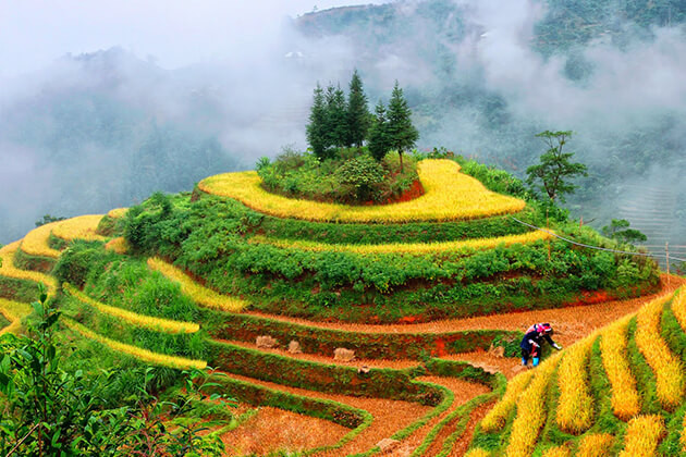 Northern Vietnam Tour from Mountain to Sea – 10 Days