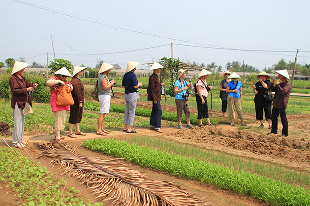 Tra Que Farming Village, Hoi an Tours, Cozy Vietnam Travel