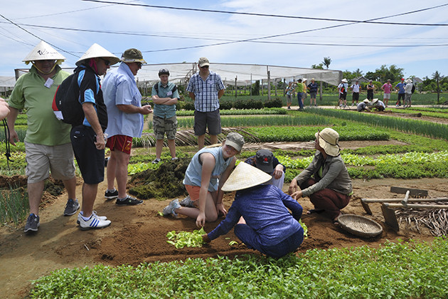 Hoi An Farming Tours, Hoian Travel, Cozy Vietnam Tours