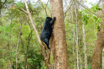 Nam Cat Tien National Park Natural Exploring Tour – 3 Days